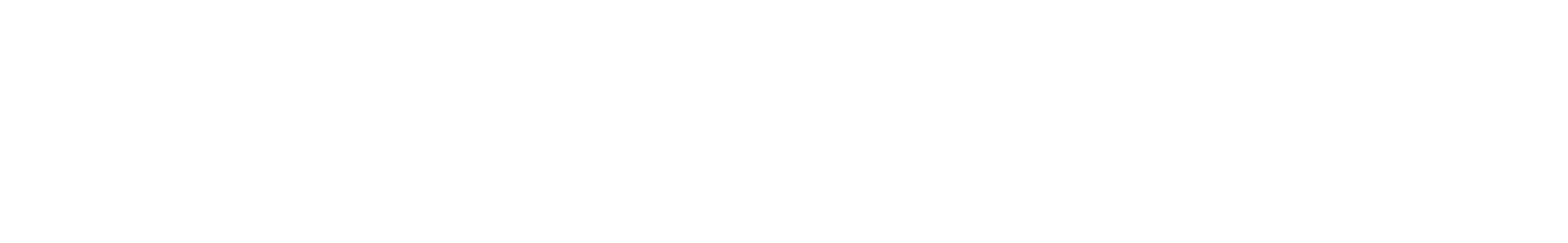 LEDiAN SPA